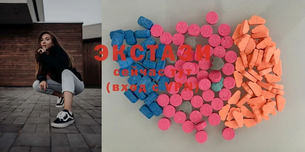 дмт Богданович