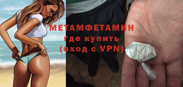 индика Богородицк