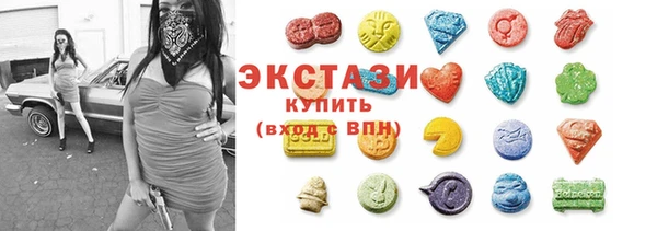 индика Богородицк