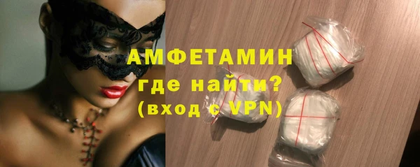индика Богородицк