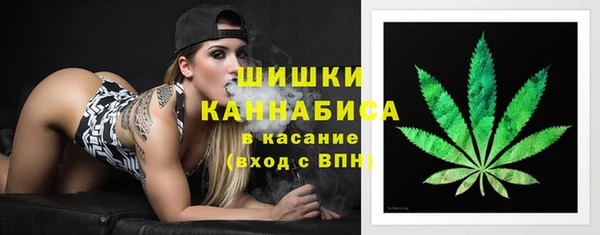 дурь Белокуриха