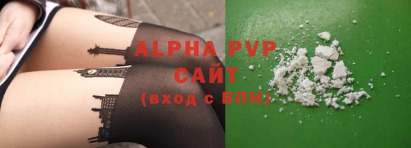 индика Богородицк