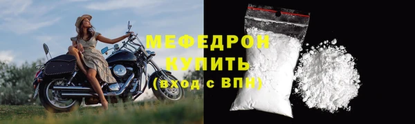 дмт Богданович
