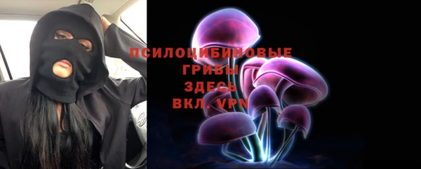 дмт Богданович