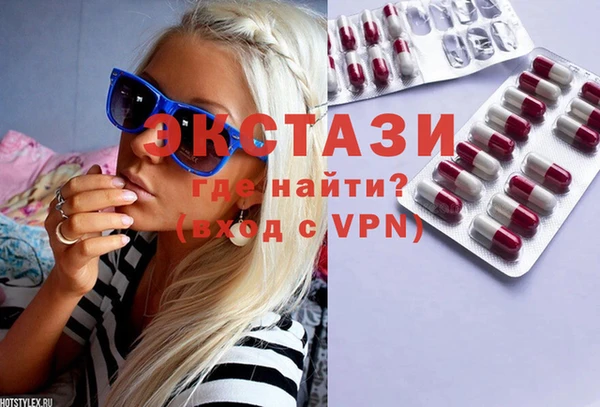 индика Богородицк