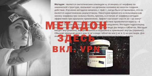 дмт Богданович