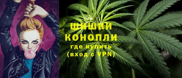 индика Богородицк