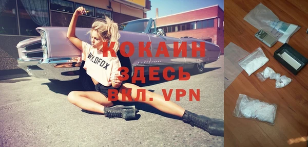 дмт Богданович