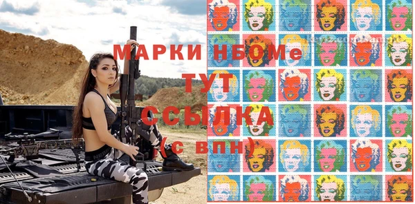 индика Богородицк
