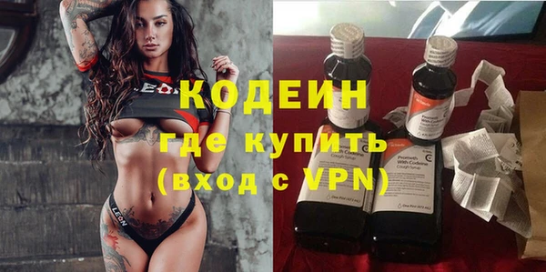 индика Богородицк