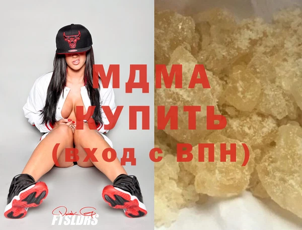 индика Богородицк