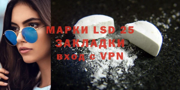 дмт Богданович