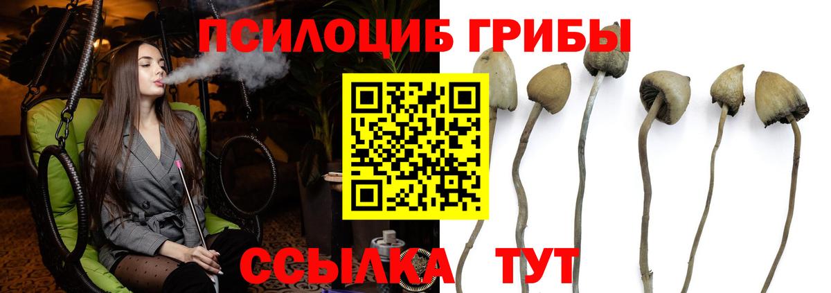 Галлюциногенные грибы ЛСД  цены наркотик  Сланцы  Галлюциногенные грибы Cubensis  Вход с VPN 