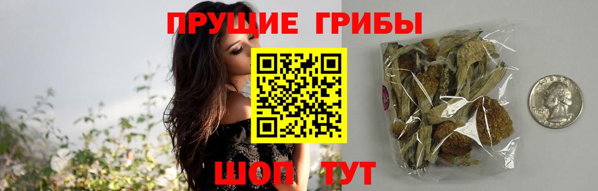 Галлюциногенные грибы MAGIC MUSHROOMS Сланцы